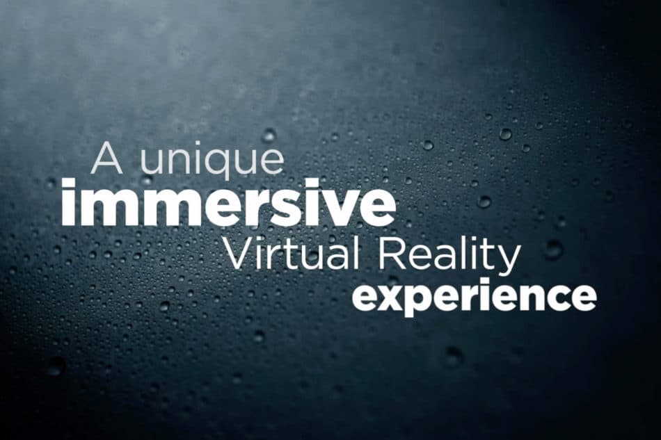 Immersive VR Experience
